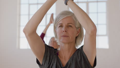 Portrait-Yoga-Klasse,-Schöne-Alte-Frau,-Die-Gesunde-Meditation-Praktiziert,-Gebetshaltung-übt-Und-Das-Körperliche-Fitnesstraining-In-Der-Gruppe-Im-Studio-Genießt