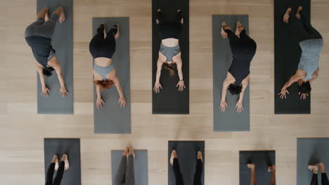 above-view-yoga-class-instructor-teaching-downward-facing-dog-pose-to-group-of-women-enjoying-healthy-lifestyle-exercising-in-fitness-studio