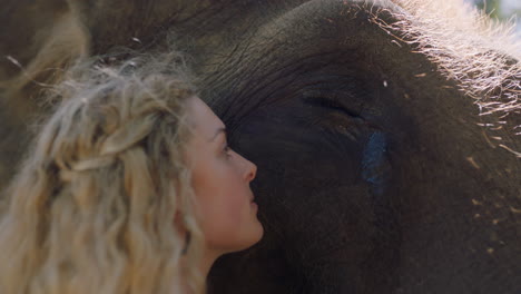 close-up-woman-touching-elephant-caressing-animal-companion-enjoying-friendship-feeling-connection-to-nature-in-zoo-4k