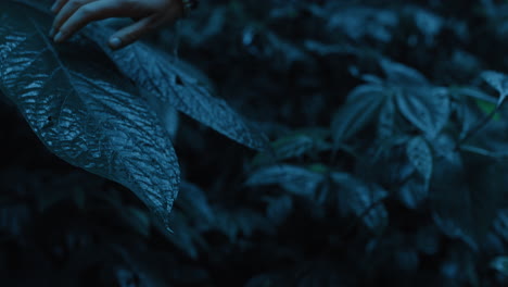 close-up-woman-hand-touching-plants-in-rainforest-at-night-feeling-wet-leaves-exploring-lush-tropical-jungle-in-the-dark-enjoying-calm-evening-in-nature