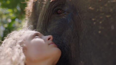 Nahaufnahme-Einer-Frau,-Die-Einen-Elefanten-Berührt,-Einen-Tiergefährten-Streichelt-Und-Freundschaft-Genießt,-Das-Gefühl-Einer-Verbindung-Zur-Natur-Im-Zoo-4k