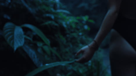 close-up-woman-hand-touching-plants-in-rainforest-at-night-feeling-wet-leaves-exploring-lush-tropical-jungle-in-the-dark-enjoying-calm-evening-in-nature
