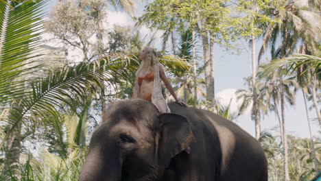 Mujer-Feliz-Montando-Elefante-En-La-Jungla-Con-Los-Brazos-Levantados-Disfrutando-De-La-Libertad-Explorando-Bosques-Tropicales-Exóticos-Divirtiéndose-En-Una-Aventura-Con-Un-Compañero-Animal-4k