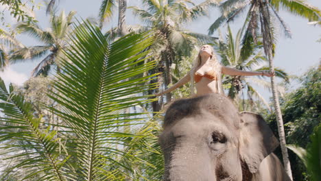 Mujer-Feliz-Montando-Elefante-En-La-Jungla-Con-Los-Brazos-Levantados-Disfrutando-De-La-Libertad-Explorando-Bosques-Tropicales-Exóticos-Divirtiéndose-En-Una-Aventura-Con-Un-Compañero-Animal-4k