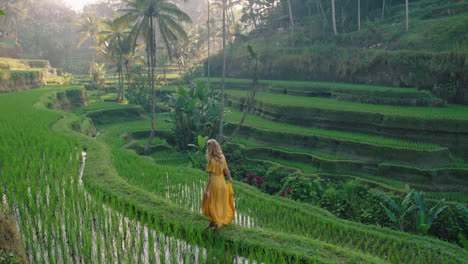 Reisefrau-Im-Reisfeld-In-Gelbem-Kleid,-Die-Auf-Der-Reisterrasse-Spaziert-Und-Die-Kulturlandschaft-Im-Exotischen-Urlaub-Durch-Bali,-Indonesien,-Entdeckt