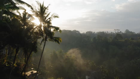 travel-woman-swinging-over-jungle-at-sunrise-enjoying-exotic-vacation-sitting-on-swing-with-sun-flare-shining-through-palm-trees-in-tropical-rainforest-holiday-lifestyle-freedom