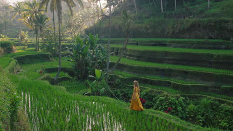 Touristenfrau-Im-Reisfeld-In-Gelbem-Kleid,-Die-Auf-Der-Reisterrasse-Spaziert-Und-Die-Kulturlandschaft-Im-Exotischen-Urlaub-Durch-Bali,-Indonesien,-Entdeckt