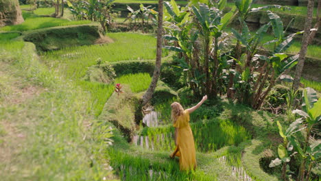 Glückliche-Frau,-Die-In-Einem-Gelben-Kleid-Im-Reisfeld-Spaziert-Und-Den-Urlaub-Genießt-Und-Die-Exotische-Kulturlandschaft-Erkundet,-Reist-Durch-Bali,-Indonesien