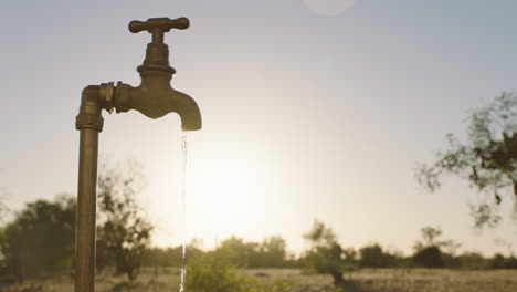 Agua-Del-Grifo-Que-Fluye-En-Una-Granja-Rural-Al-Atardecer-Agua-Dulce-Saliendo-Del-Grifo-Al-Aire-Libre-Desperdiciando-Escasez-De-Agua-En-Las-Tierras-De-Cultivo-Sequía