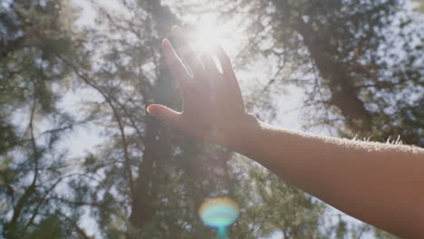 hand-touching-sun-reaching-for-sunlight-shining-between-fingers-catching-sunshine-in-forest-woods