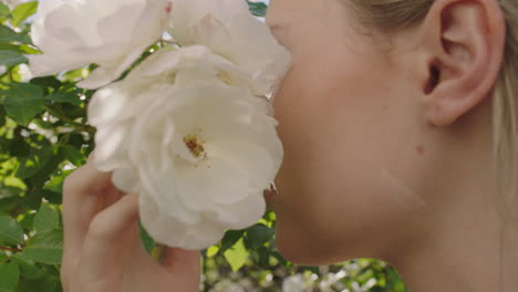 close-up-beautiful-woman-smelling-roses-blossoming-in-rose-garden-enjoying-natural-scent