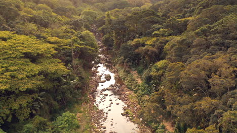 Vista-Aérea-Del-Río-En-El-Bosque-Hermoso-Vuelo-De-Drones-A-Través-De-La-Selva-Verde-Selva-Virgen-Paisaje-Natural-Conservación-De-La-Naturaleza-4k
