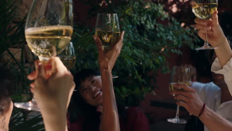 fun-group-of-friends-making-toast-drinking-wine-at-summer-dance-party-enjoying-summertime-social-gathering-celebrating-on-sunny-day-4k-footage