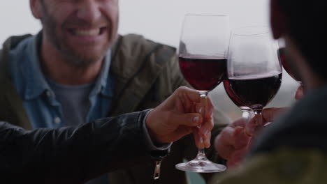 friends-making-toast-drinking-red-wine-celebrating-together-enjoying-reunion-gathering