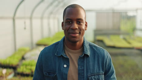 Face,-happy-and-farmer-black-man-in-a-greenhouse