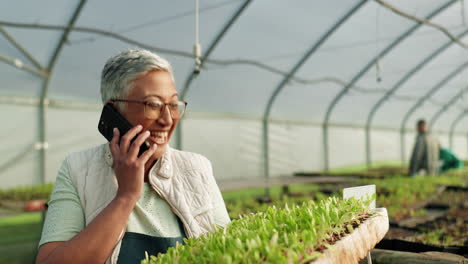 Greenhouse,-phone-call-and-woman-with-vegetables