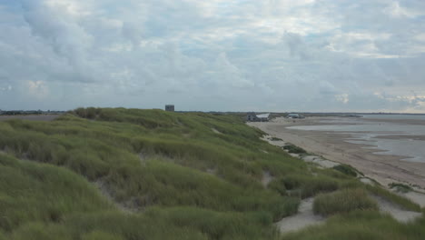 Europäisches-Marram-dünengras-Im-Sand-Nahe-Einem-Strand-Mit-Kitesurfer