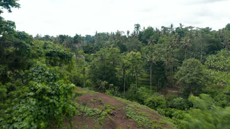 Luftaufnahme-Des-Dschungelflusses-Und-Des-Versteckten-Wohnhauses-In-Einem-Dichten,-üppigen-Regenwald-Auf-Bali