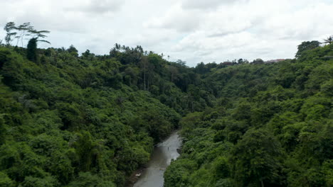 Aerial-dolly-shot-of-jungle-river-flowing-through-the-canyon-in-a-tropical-rainforest-with-lush-green-vegetation
