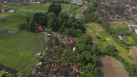 Aerial-dolly-shot-of-homes-in-the-small-residential-communities-among-large-green-farm-fields-in-Bali,-Indonesia