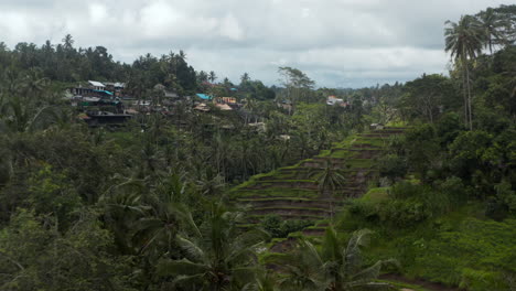 Toma-Aérea-Lenta-De-Un-Pequeño-Pueblo-Rural-Y-Granjas-De-Arrozales-En-Terrazas-En-La-Ladera-De-La-Montaña-En-Una-Espesa-Selva-Tropical-En-Bali