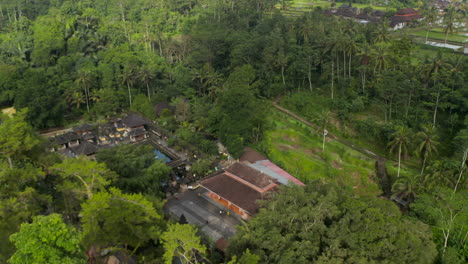 Aerial-reveal-of-the-Tirta-Empul-temple-hidden-in-a-thick-tropical-vegetation.-Hindu-temple-with-holy-water-pond-for-purifying-baths.