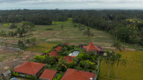 Dolly-aerial-shot-of-traditional-Asian-houses-surrounded-by-terraced-farming-rice-fields-in-Bali