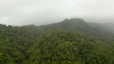 Lush-green-tropical-rainforest-vegetation-on-the-side-of-the-foggy-mountain.-Palm-trees-in-the-jungle-on-the-hill-slopes-on-a-cloudy-day