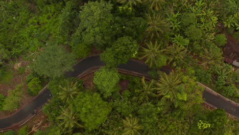 Top-down-aerial-view-of-two-motorcycles-driving-on-the-asphalt-road-through-tropical-rainforest.-Overhead-view-of-motorcyclists-on-a-jungle-road-in-Indonesia