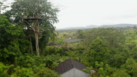 Aerial-view-of-watch-tower-and-hanging-bridge-in-the-canopy-of-tropical-tree.-Observation-platform-in-the-canopy-of-a-tropical-tree-near-small-rural-village-in-Bali