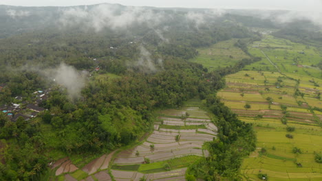 Irrigated-rice-fields-near-tropical-rainforest-in-Bali.-Aerial-view-of-farm-fields-near-small-village-in-a-jungle-in-Indonesia
