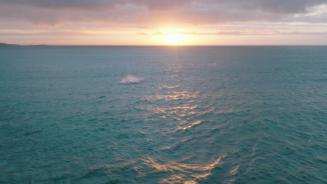 Romantic-aerial-footage-of-whale-breaching-off-sea-water-surface-against-colourful-sunset-sky.