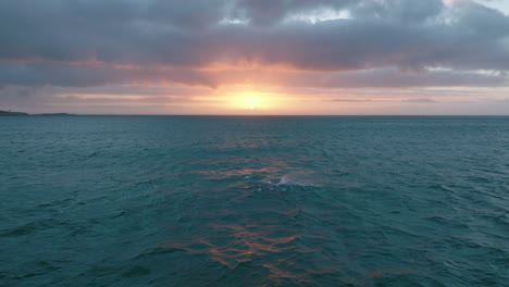 Vorwärtsflug-über-Auftauchenden-Wal-Im-Meer.-Romantische-Abendaufnahmen-Gegen-Die-Untergehende-Sonne.