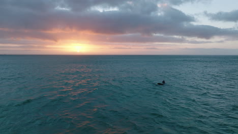 Brath-taking-panoramic-view-of-rippled-sea-surface-reflecting-setting-sun.-Watching-whales-in-wildlife.