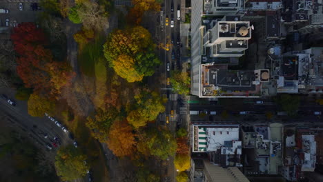 Aerial-birds-eye-overhead-top-down-panning-footage-of-street-along-autumn-colour-park.-Manhattan,-New-York-City,-USA