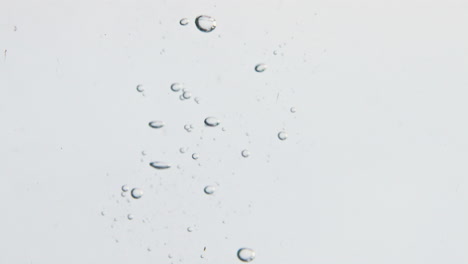 Closeup-kiwi-falling-water-in-light-background.-Tropical-fruit-dropping-making