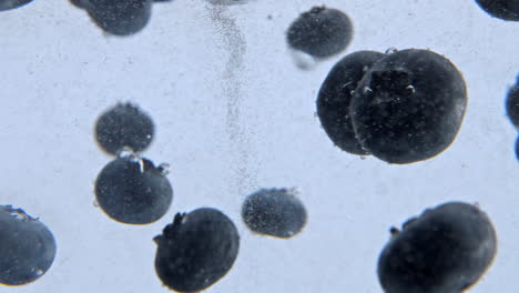 Blueberries-rotating-carbonated-water-closeup.-Mineral-aqua-with-dark-berries