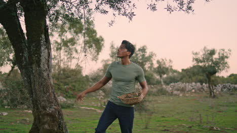 Tired-gardener-check-olive-tree-evening-countryside.-Man-inspecting-plants