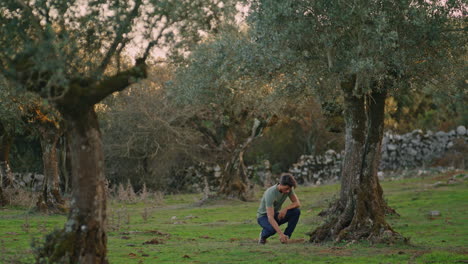 Working-man-carrying-basket-at-evening-farm.-Worker-walking-at-olive-plantation