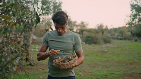 Positive-man-smelling-olive-at-countryside-close-up.-Worker-harvest-vertically