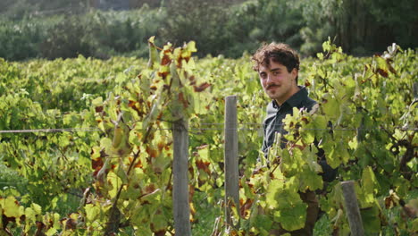 Trabajador-De-Viñedo-Caminando-Plantación-Día-Soleado-Vertical.-Control-Del-Viticultor