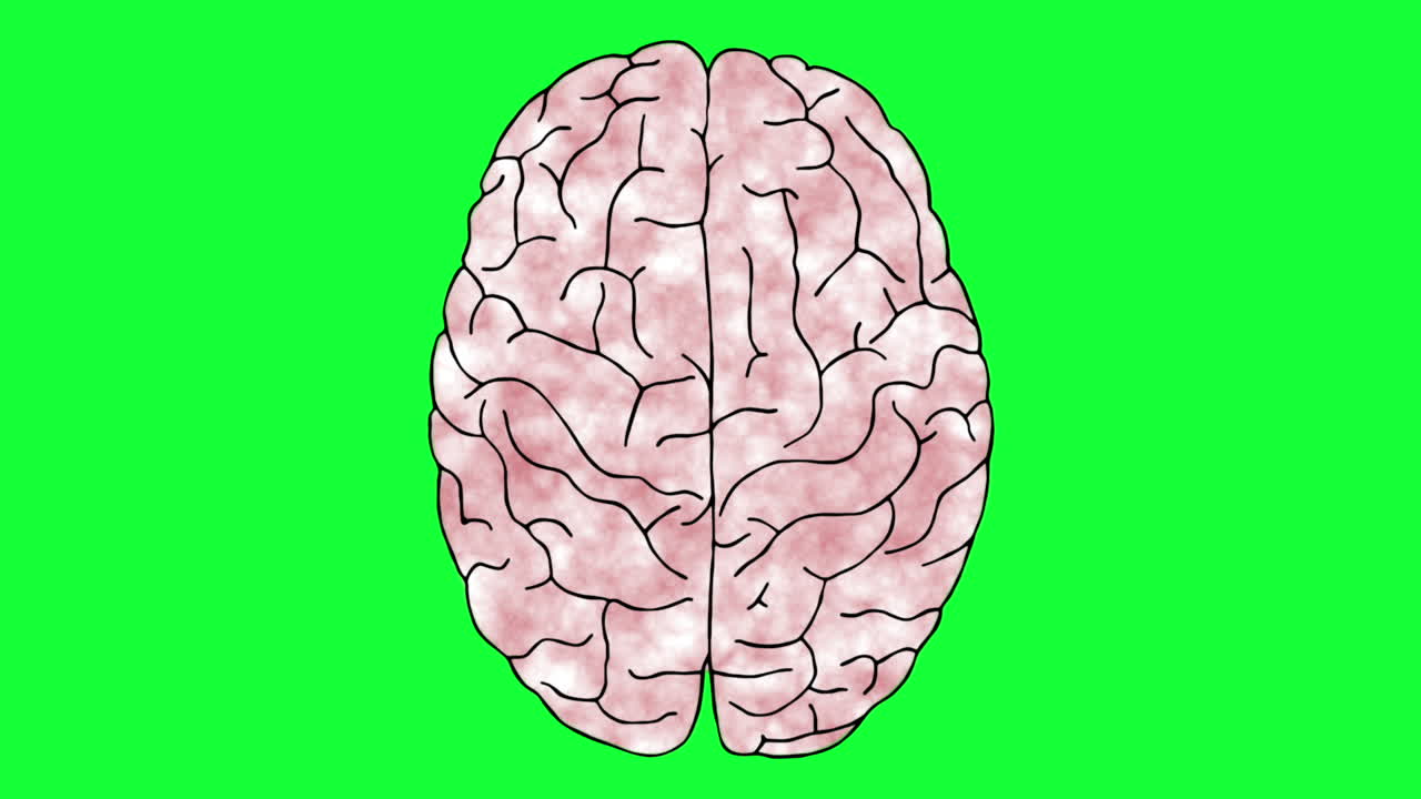 Premium stock video - Brain activity animation on green screen