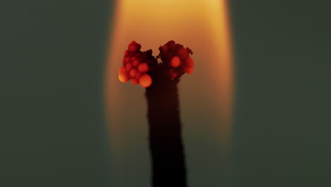 Macro-view-of-spectacular-isolated-orange-yellow-flame-burning-the-wick-of-a-candle