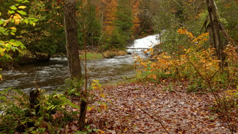 Ein-Stürmischer-Fluss-Fließt-In-Den-Herbstlichen-Wald