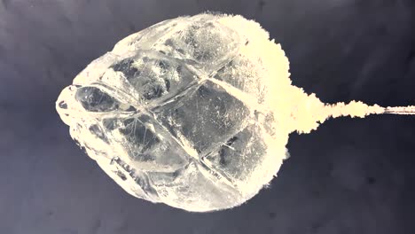 Close-View-Of-Hanging-Frozen-Heart-Shaped-Ice-Sculpture-In-Ice-Hotel