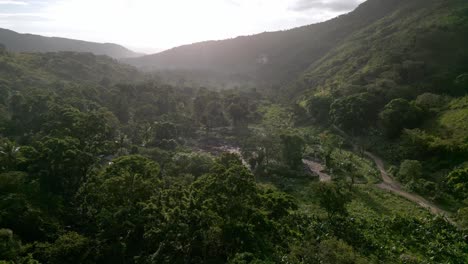 Aerial-flyover-tropical-coffee-bean-plantation-between-mountains-in-Polo-Barahona,-Dominican-Republic