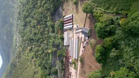 Aerial-vertical-shot-of-coffee-plantation-factory-in-deep-jungle-of-Dominican-Republic