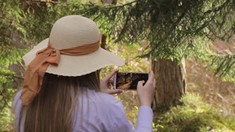 Una-Joven-Caucásica-Sosteniendo-Un-Teléfono-Toma-Una-Fotografía-Del-Sol-Del-Bosque,-Estático