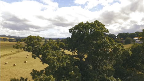 Hay-Roll-Field-on-Midday,-Aerial-Revealing-Pedestal-Shot