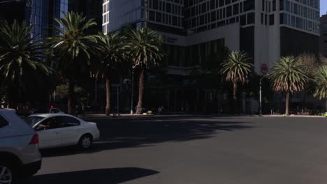 Some-Cars-Driving-Around-the-Roundabout-of-the-Palm-in-Paseo-de-la-Reforma-in-Mexico-CIty